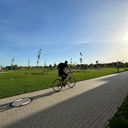 Slnecnice, Flexibilny Pristup * Bratislava