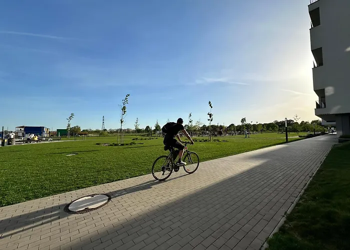 Slnecnice, Flexibilny Pristup * Bratislava